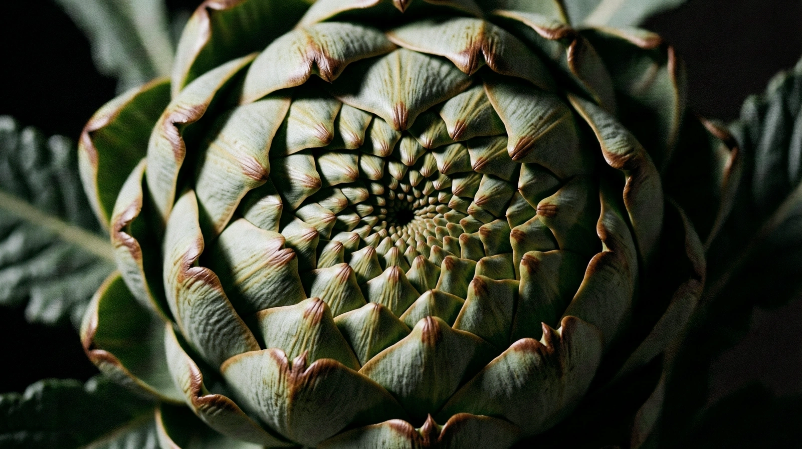 Botanische Struktur